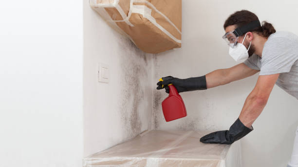 Professional Crawl Space Mold Remediation technician working in Redmond, OR