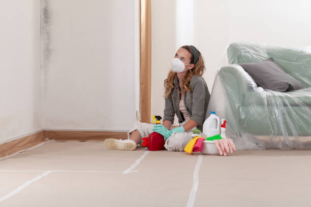 Reliable Crawl Space Mold Remediation contractor in Redmond, OR by Car Mold Remediation