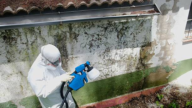 Top rated local Crawl Space Mold Remediation specialists in Redmond, OR